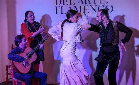  Zambra del Gato: Un Voyage Musical à Travers les Rythmes Entêtants du Flamenco et les Mélodies Soulèveantes de la Passion